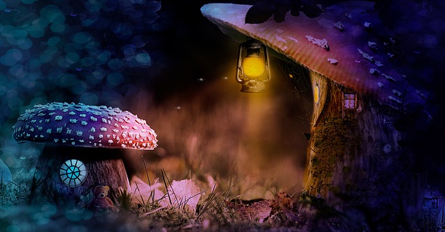 Enchanted garden